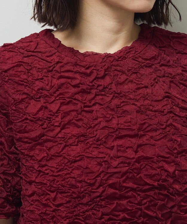 Green Parks 表面感カット５分袖プルオーバー Bordeaux