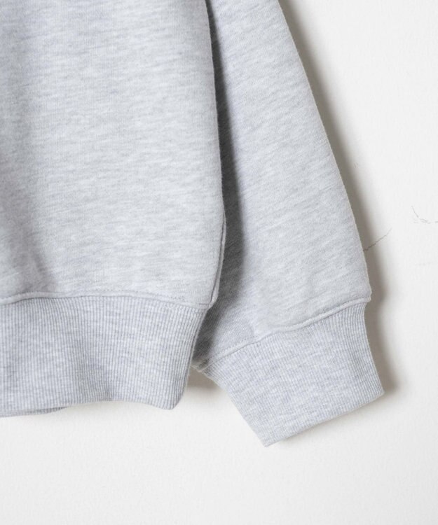 WEGO ヘビーウエイトサガラグラフィックプルオーバー 柄1