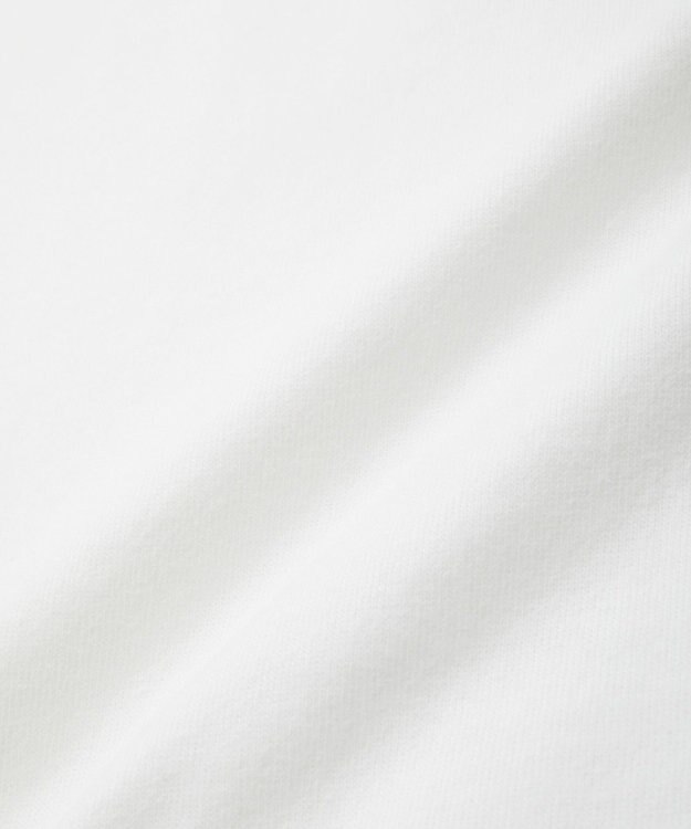 AMERICAN HOLIC アソートアニマルロングＴシャツ D