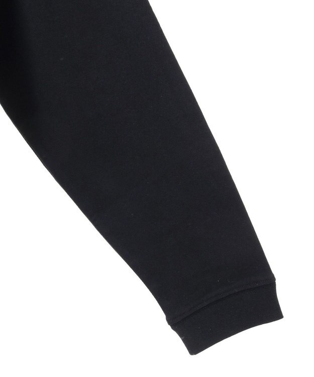 Green Parks ■ＦＥＬＩＸ　グラフィックバックｐｔ　ロンＴＥＥ Black