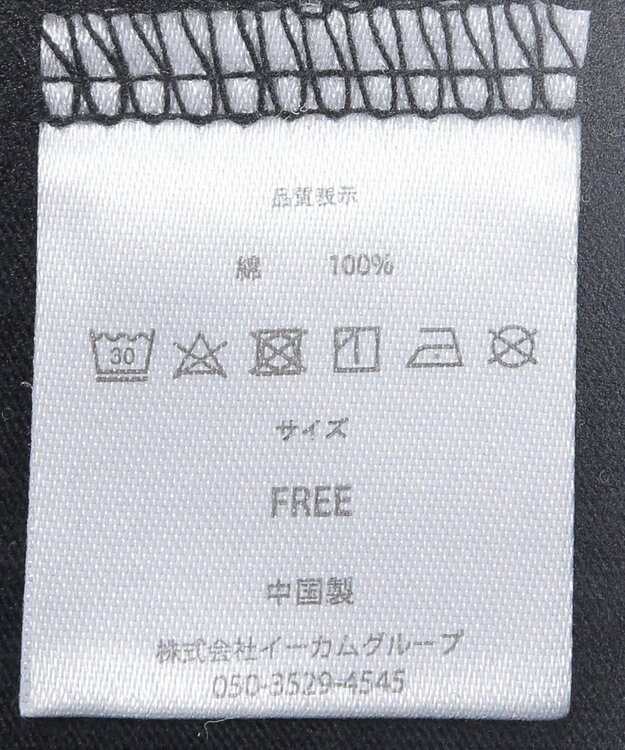 Green Parks ■ＦＥＬＩＸ　グラフィックバックｐｔ　ロンＴＥＥ Black