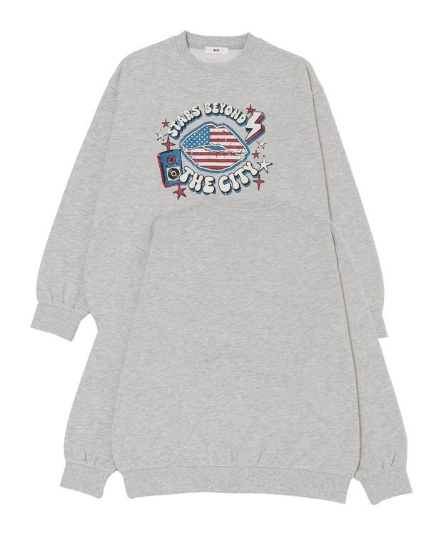 WEGO 【2025年秋冬新作/SMLXLサイズ展開/ユニセックス着用ITEM】アソートグラフィックプルオーバー 柄39