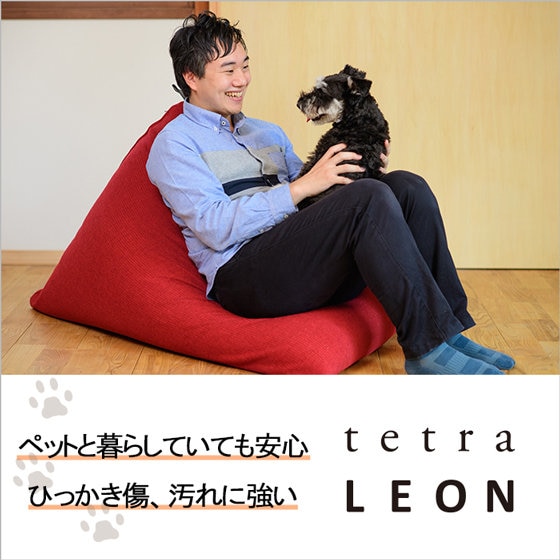 【新登場】大人気のビーズクッションtetraの新シリーズ！