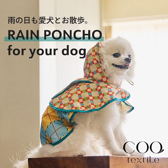 ポップなドッグポンチョ登場！梅雨時も愛犬とお散歩