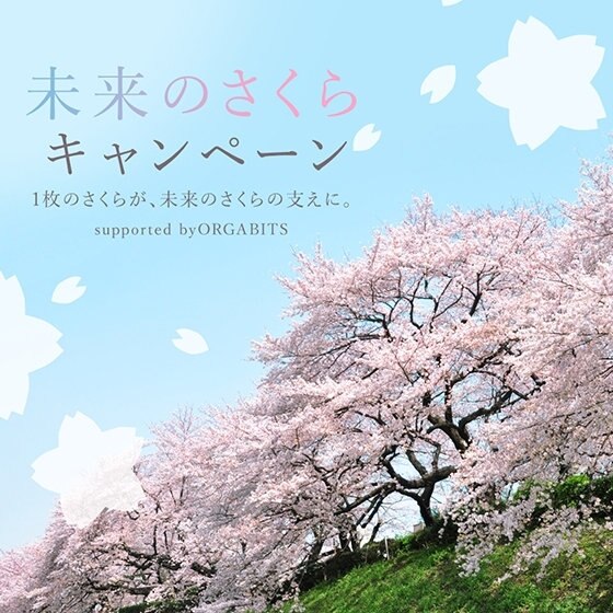 『未来のさくらキャンペーン』3月1日より開催