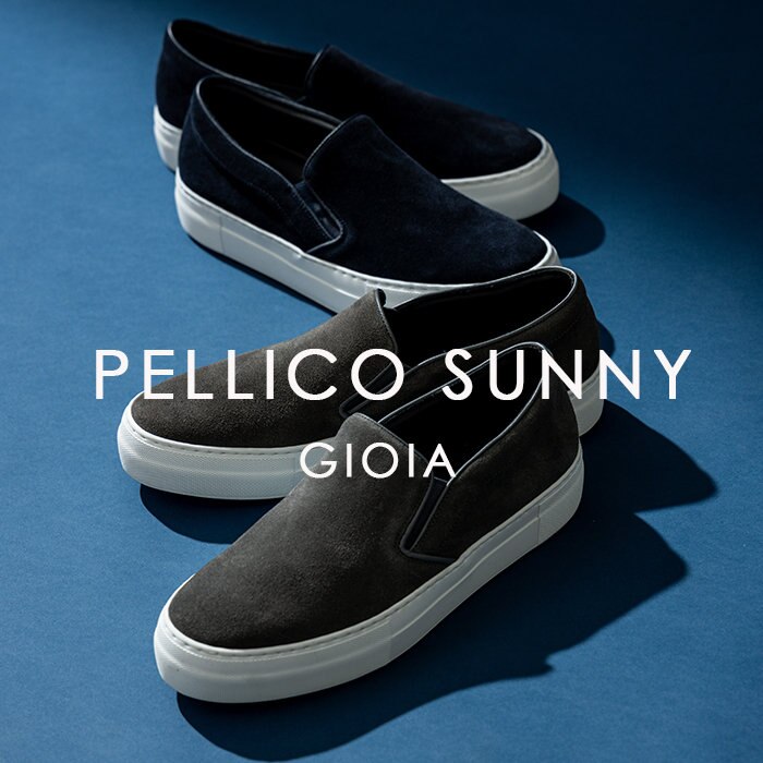 【WEB限定】PELLICO SUNNY / GIOIA入荷しました