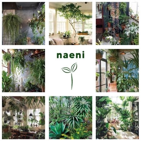 【SELECT BRAND】nanini