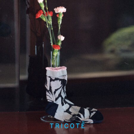 TRICOTÉ 25SSシーズン【 INTERSECT 】新作ソックスのご紹介3