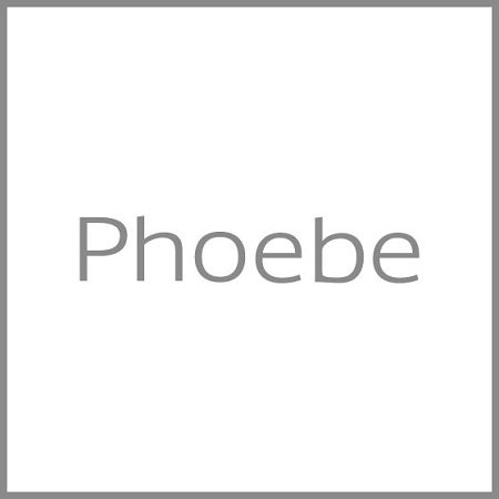 【重要】年末年始休業による出荷業務停止について