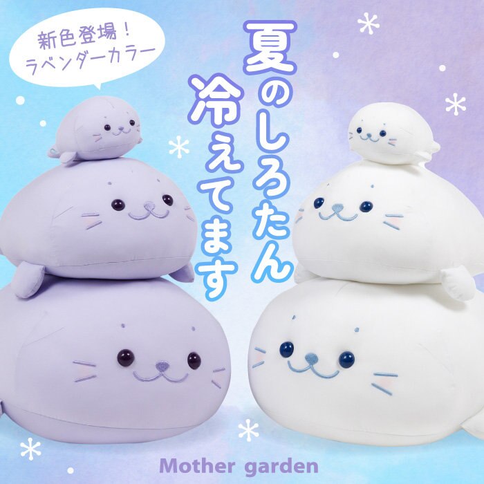 しろたん冷えてます