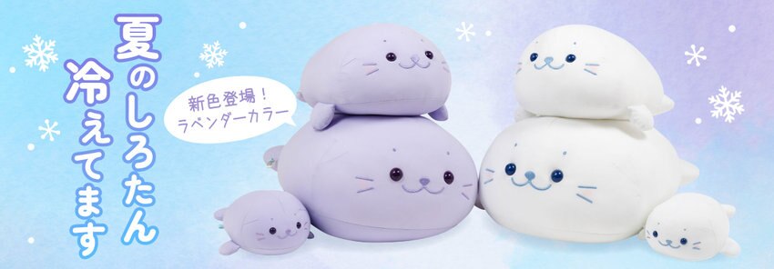 しろたん冷えてます