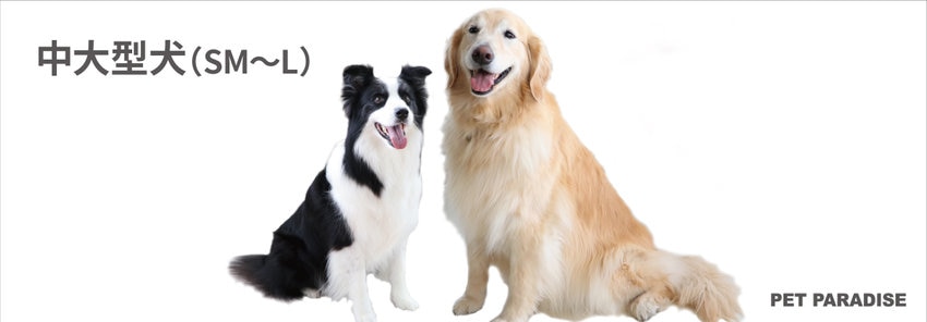 中型大型犬サイズ