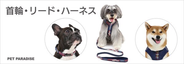 犬用首輪、リードセット フォレルパージュ | gulatilaw.com