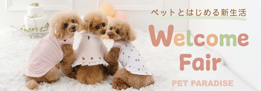 パピーちゃんお迎えアイテム