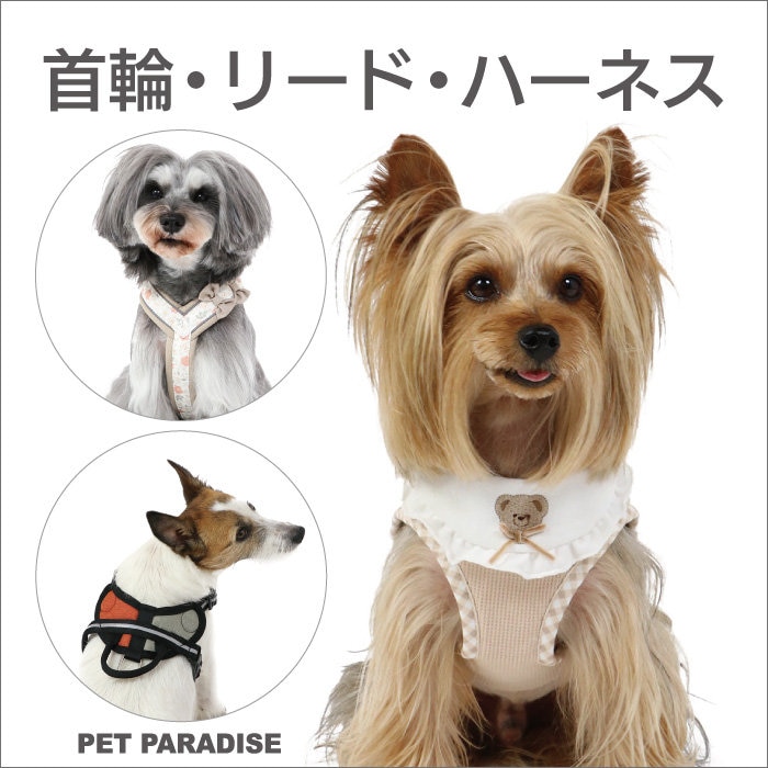 首輪・リード・ハーネス