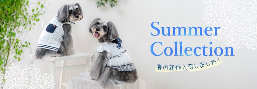 2025 Spring Summer Collection