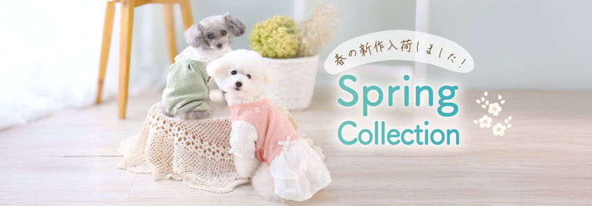 2026 Spring Summer Collection