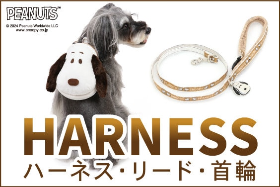 公式】PET PARADISE | ファッション通販サイト[オンワード・クローゼット]