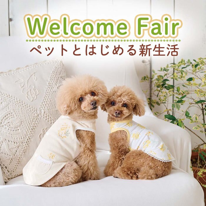 ペットと始める新生活　ウェルカムフェア♪