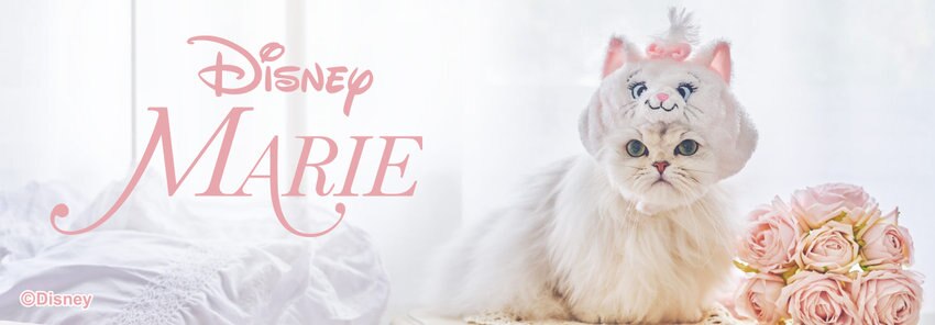 ねこちゃんアイテム