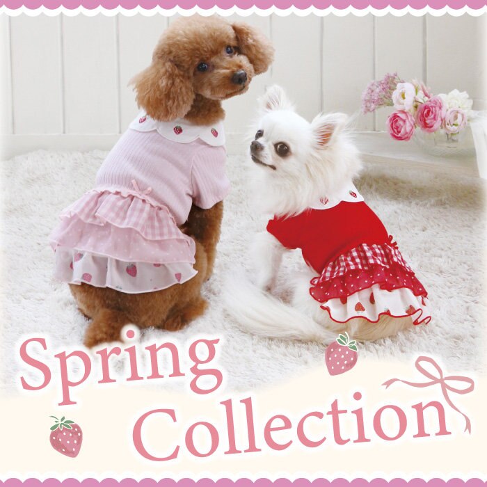 2024 Spring collection