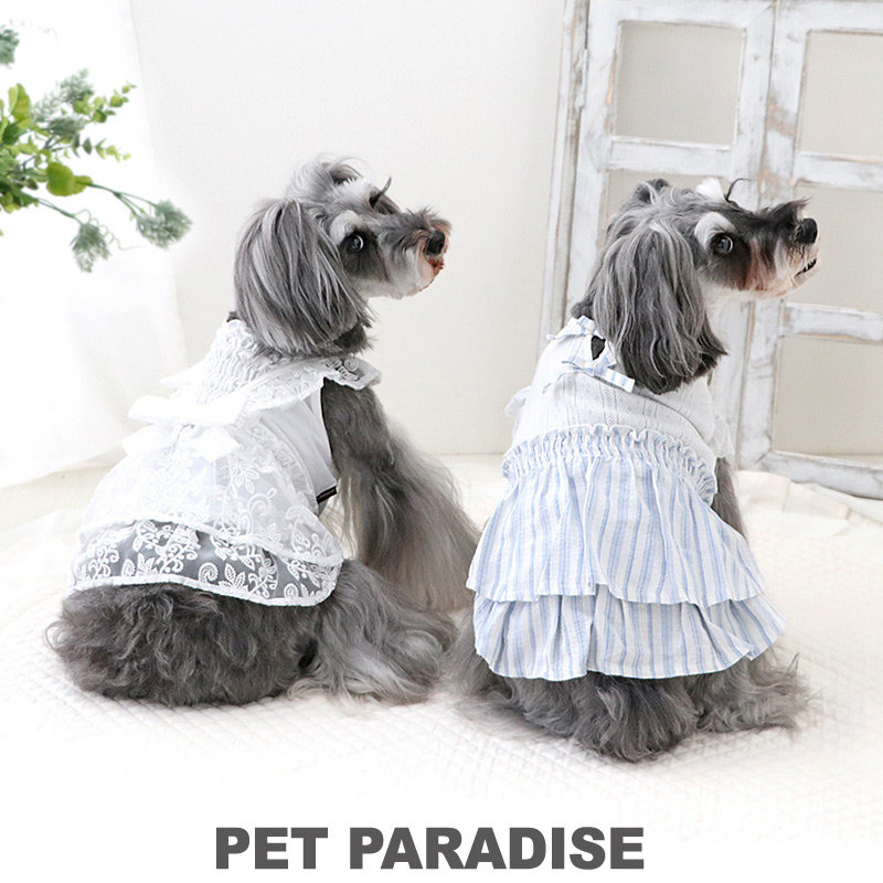 2024 Spring collection