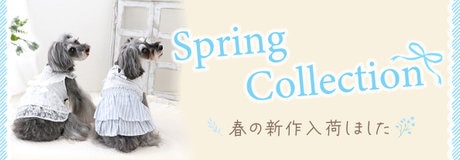 2024 Spring collection | ONWARD CROSSET | ファッション通販サイト[オンワード・クローゼット]