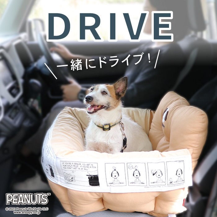 ドライブカドラー