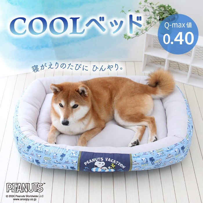 COOLカドラー