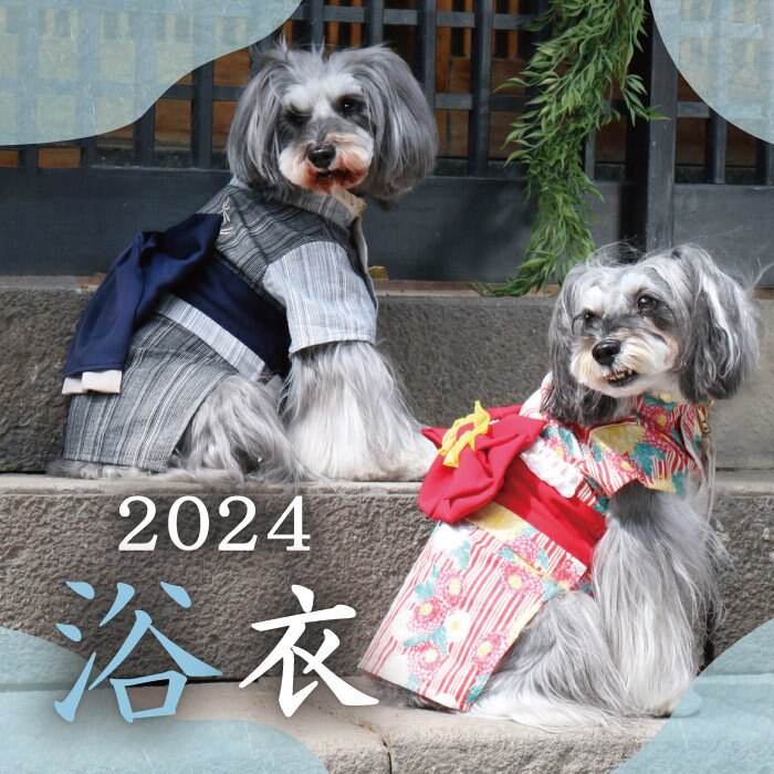 《2024 YUKATA》浴衣