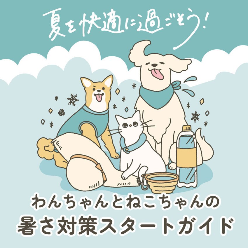 わんちゃんとねこちゃんの暑さ対策スタートガイド
