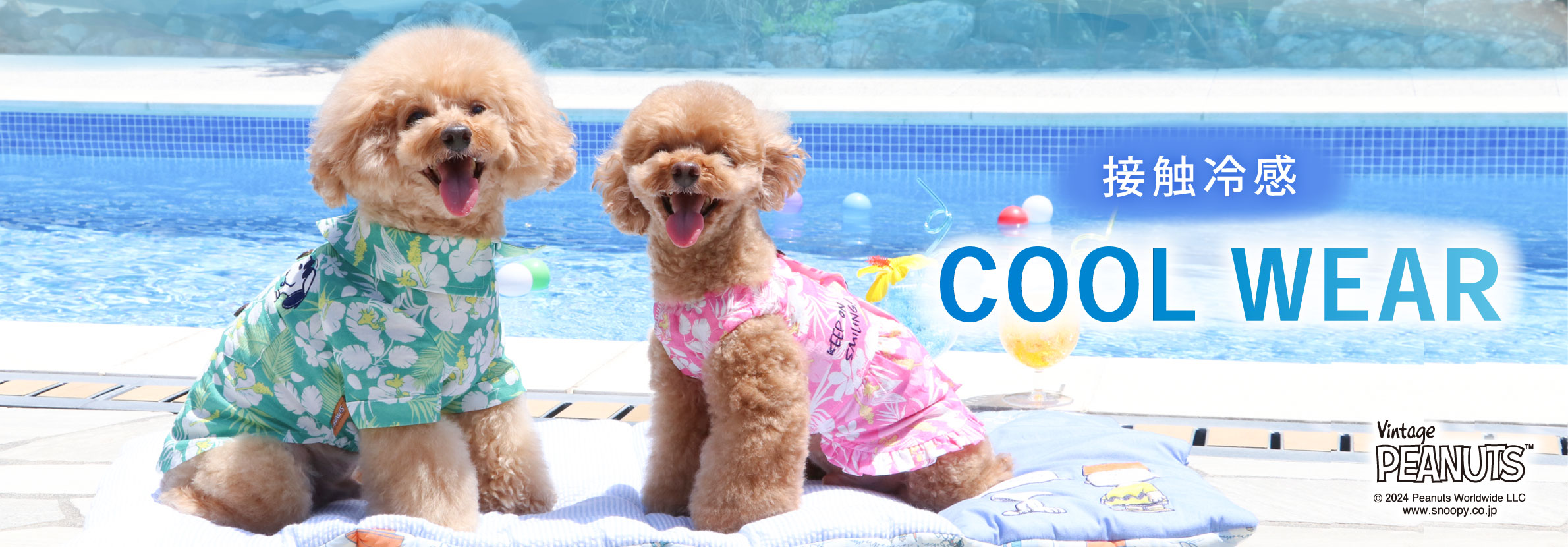 PET PARADISE】2024 Summer Collection ファッション通販サイト[オンワード・クローゼット]