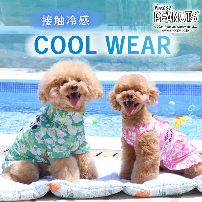 ＼2024 Summer wear／