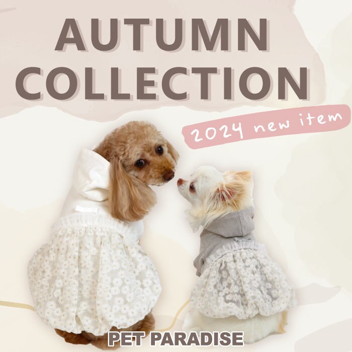2024 Autumn collection