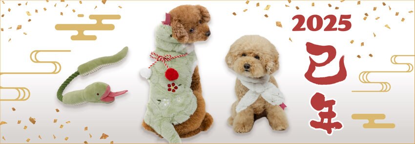 【ペットパラダイス】2025年 干支巳年　お正月