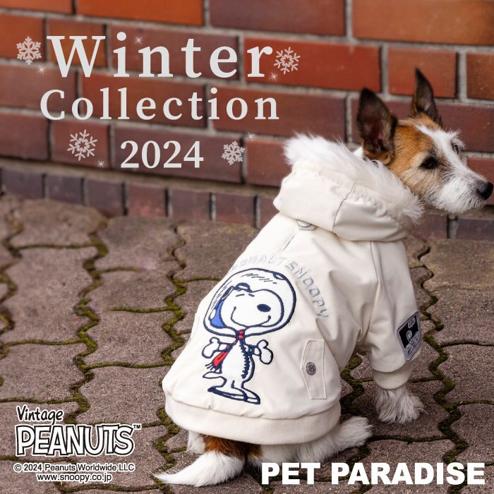 冬本番！防寒対策で暖かさキープ