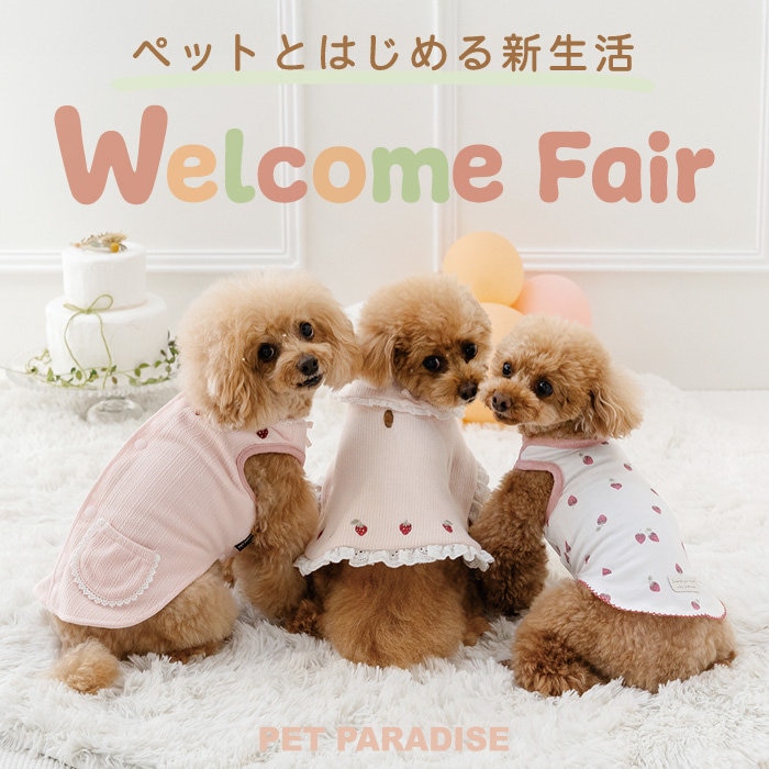 Welcome Fair