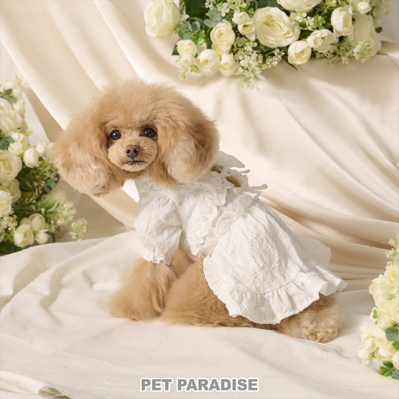 シェリールクチュールの新作