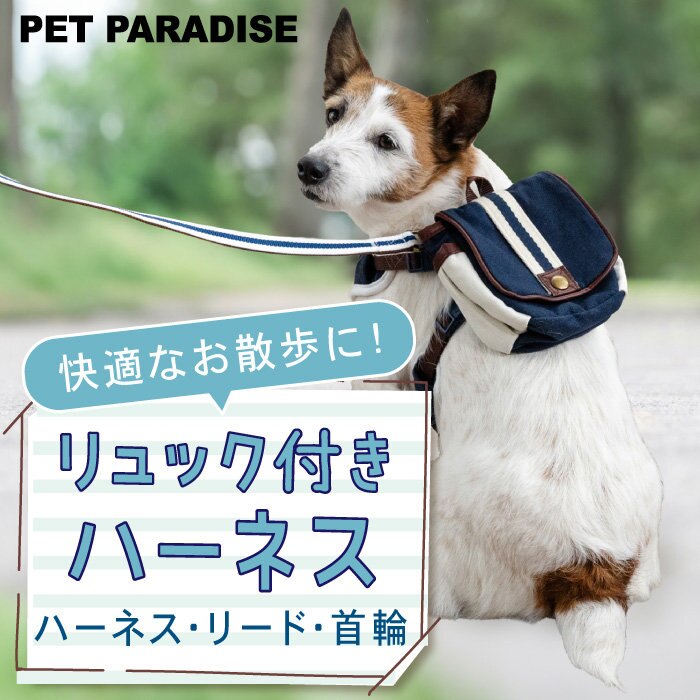 ハーネス・首輪・リード