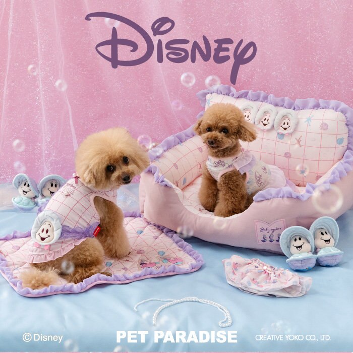 ディズニー　ヤングオイスター新登場