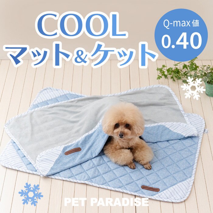 おうちの中のお気に入りの場所