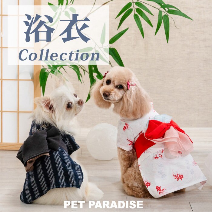 夏はこれでキメておでかけ