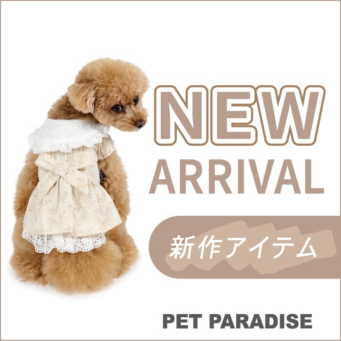 初秋のウェアが早くも入荷！