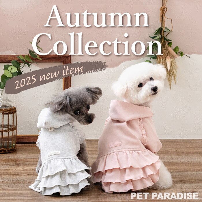 秋のお洒落を楽しもう