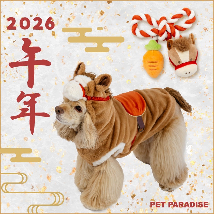 干支の午になりきれる