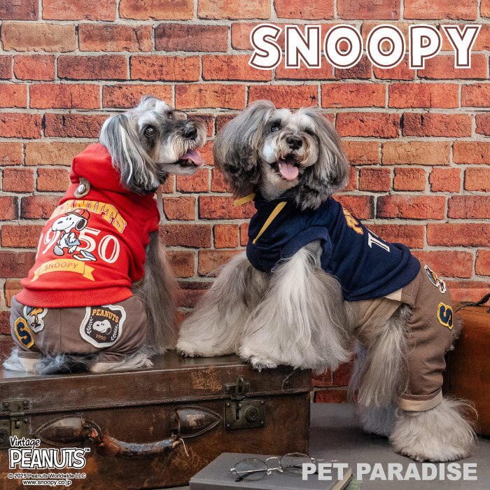 スヌーピーのカレッジシリーズ