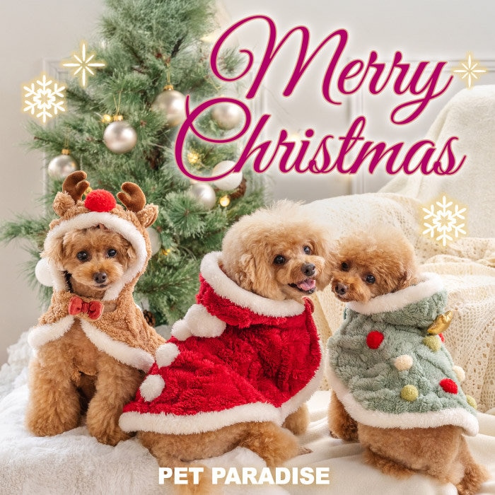 クリスマスを楽しく過ごそう♪