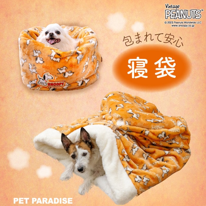 寝袋のデザインもサイズも充実