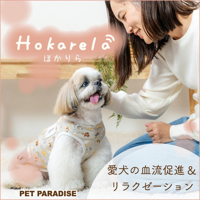 わんちゃんにもリラクゼーションを“ホカリラ”