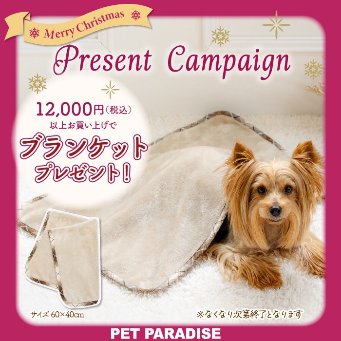 🎁【数量限定】ハーフブランケットプレゼント🐶